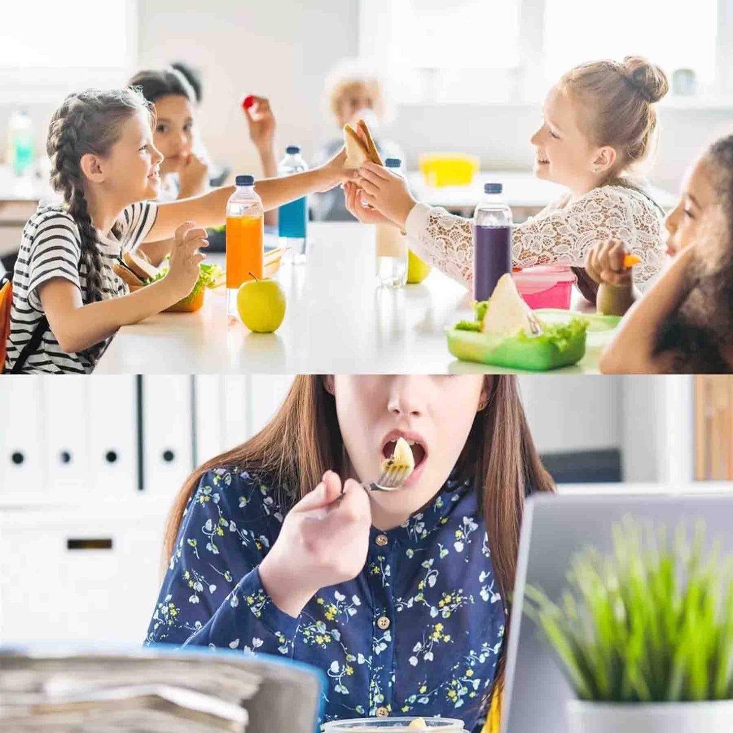 Lonchera Electrica Portatil 220v